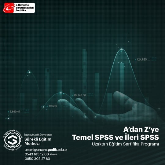 SPSS İle Tüm Analizler-Eğitimler Tek Paket (Temel SPSS ve İleri SPSS) A'dan Z'ye