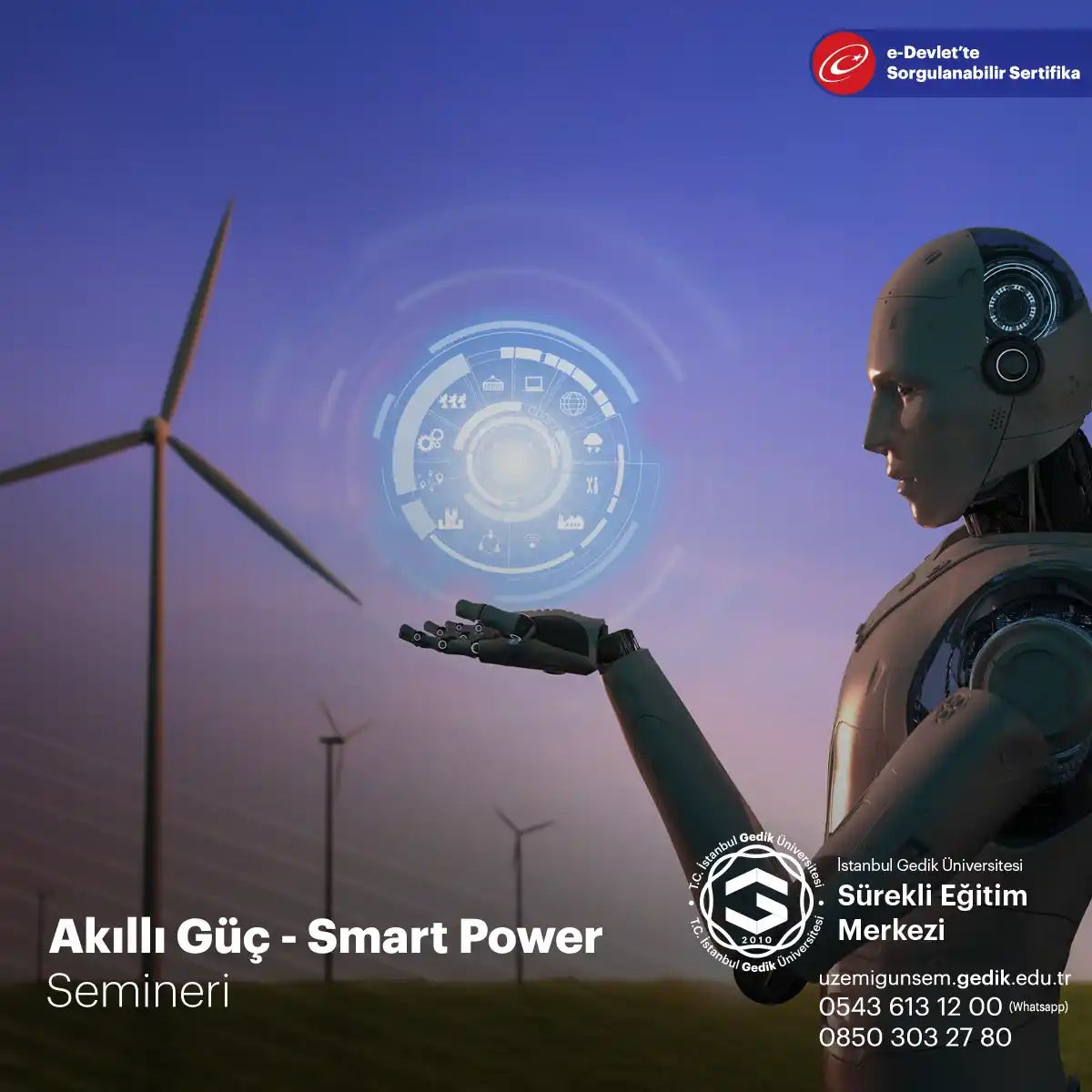 Akıllı Güç - Smart Power Semineri