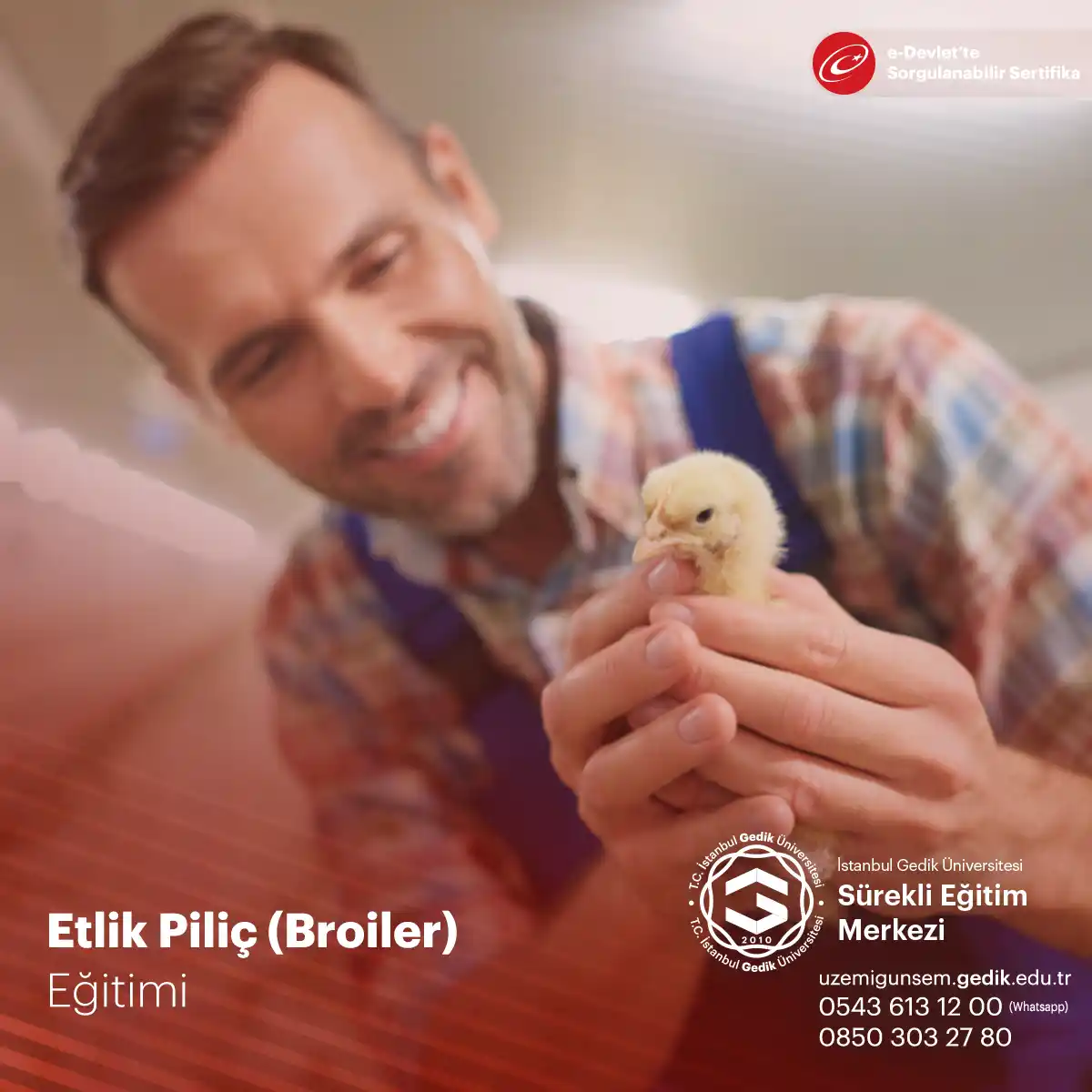 Etlik Piliç Yetiştiriciliği (Broiler) Sertifikası