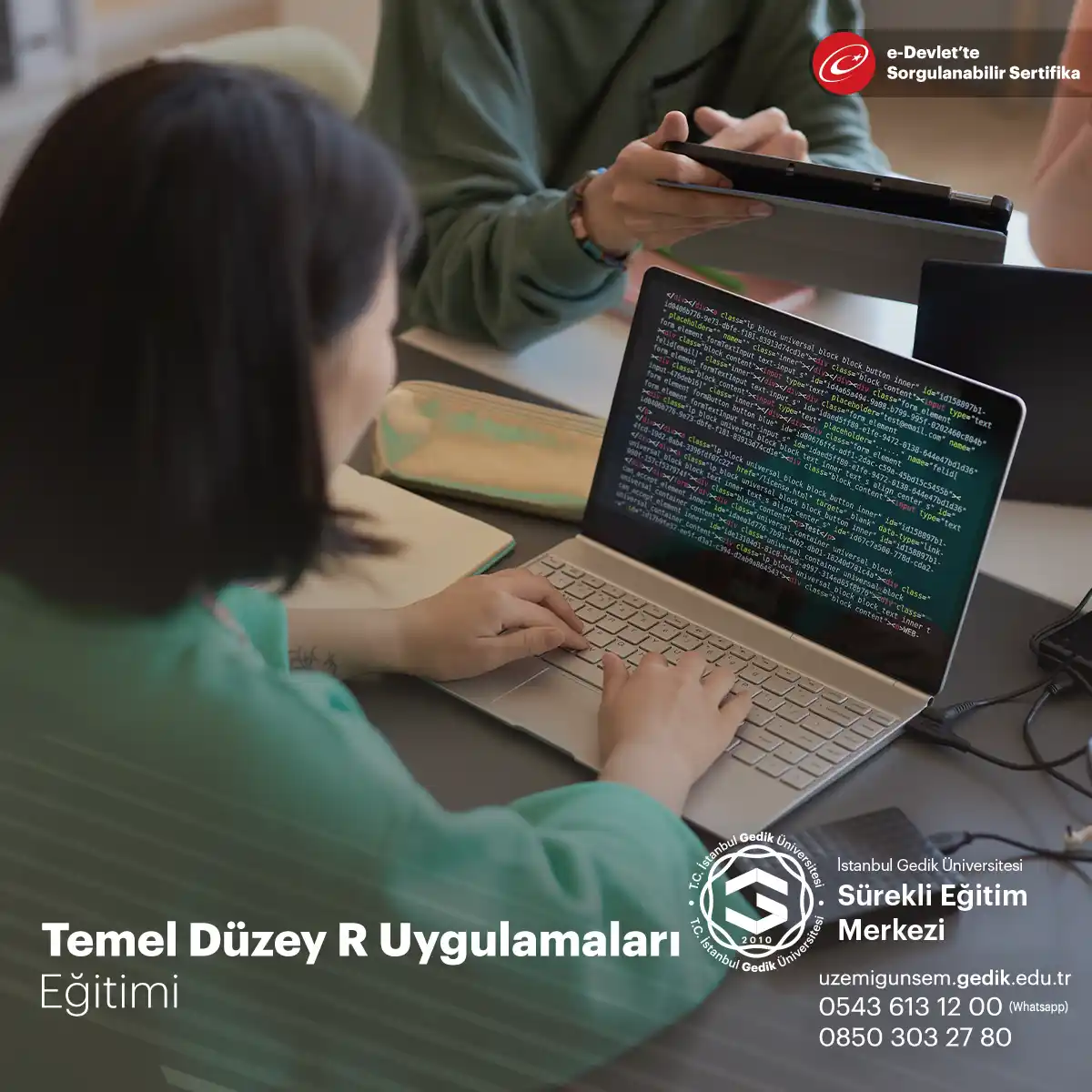 Temel Düzey R Uygulamaları