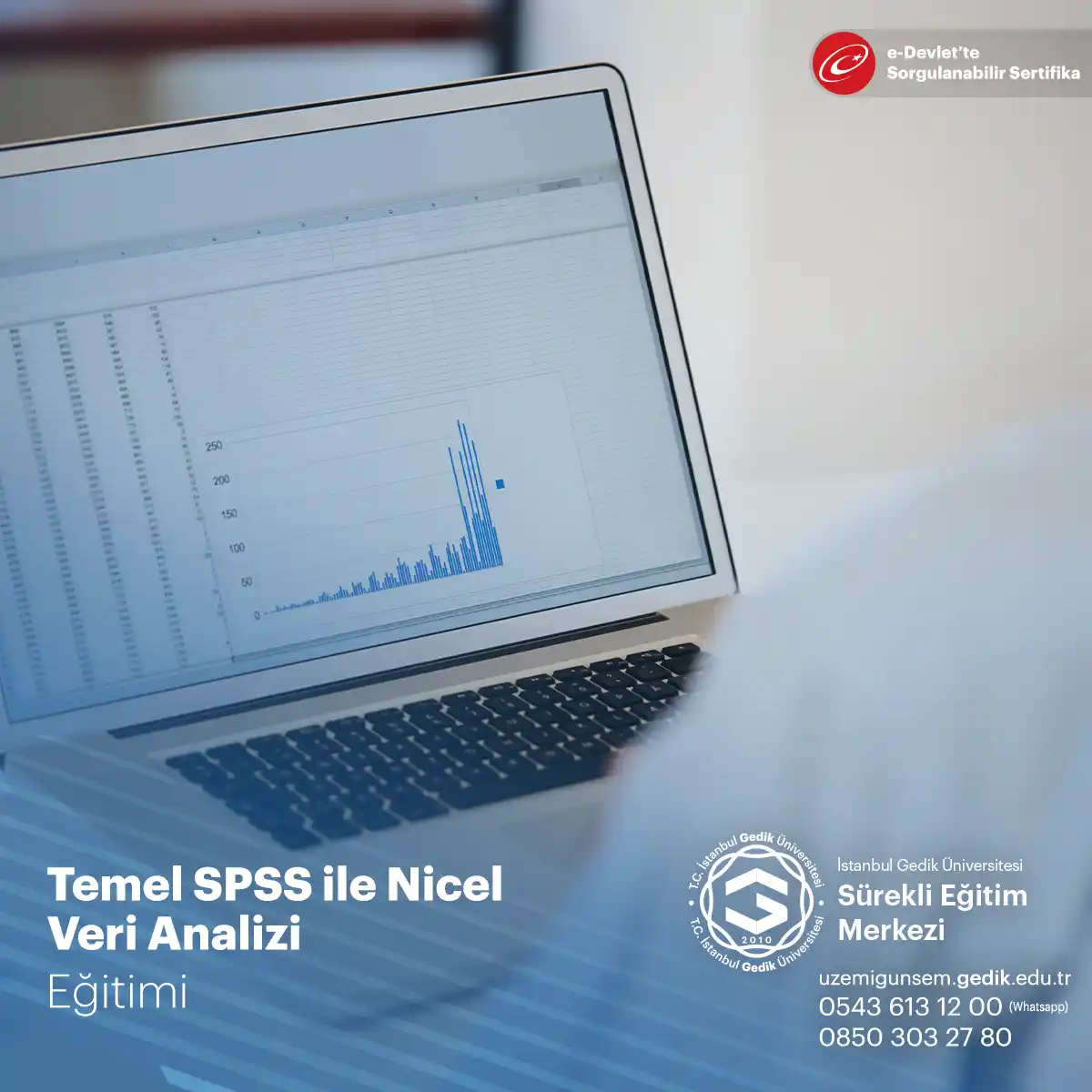 Temel SPSS ile Nicel Veri Analizi